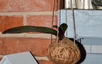 Hanging Orchid Step-by-step