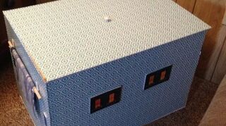 I M Looking For Something To Use Under Litter Boxes To Protect Carpet Hometalk