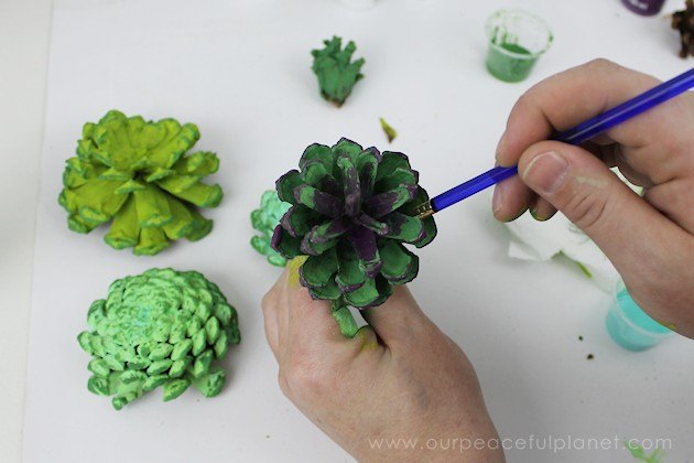 stunning succulents from pinecones, flowers, gardening, succulents