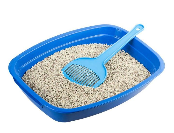 Chicken Feed for Cat Litter