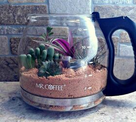 diy coffee pot terrarium, gardening, painted furniture, terrarium