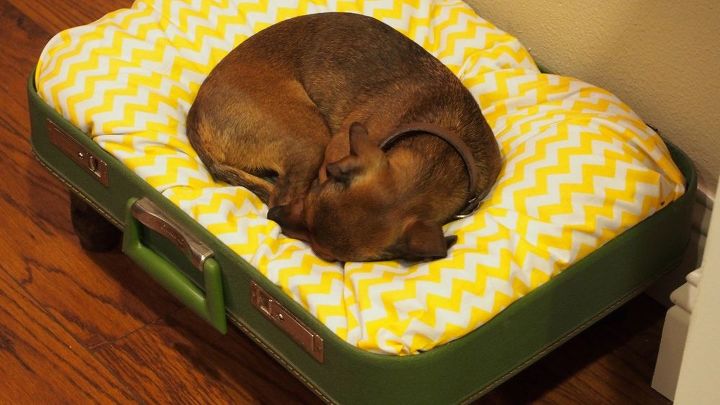 cama para perros diy