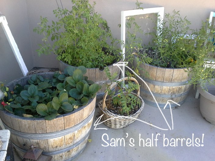 fountain wine barrel diy, gardening, outdoor living, ponds water features
