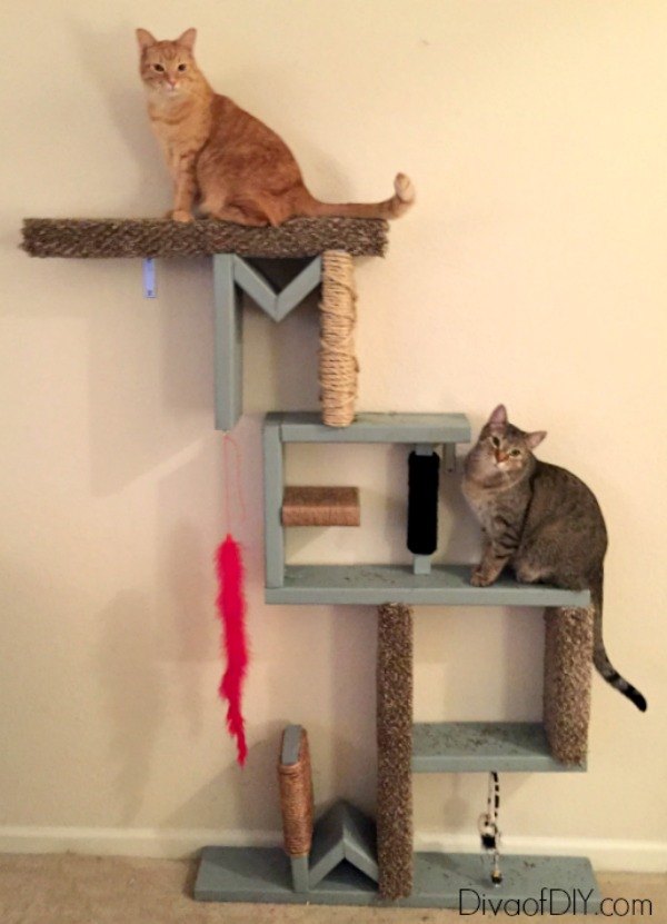 Diy Cat Scratching Post Hometalk Diy Cat Scratching Post