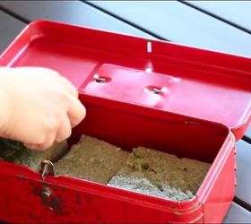 repurpose an old toolbox into a planter for succulents, flowers, gardening, succulents