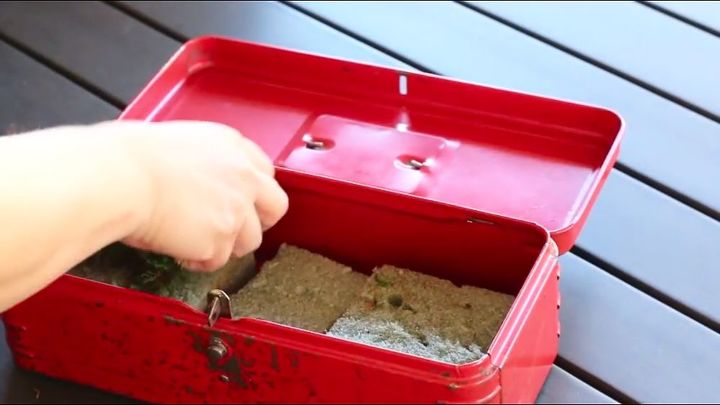transforme uma caixa de ferramentas antiga em um plantador de suculentas