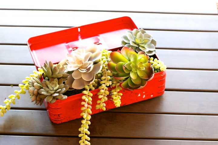 repurpose an old toolbox into a planter for succulents, flowers, gardening, succulents