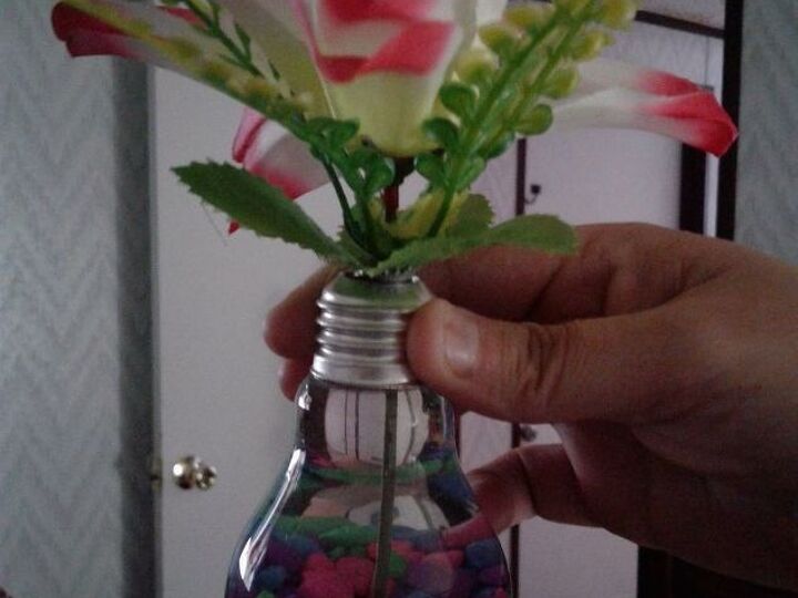 q light bulb flower, gardening