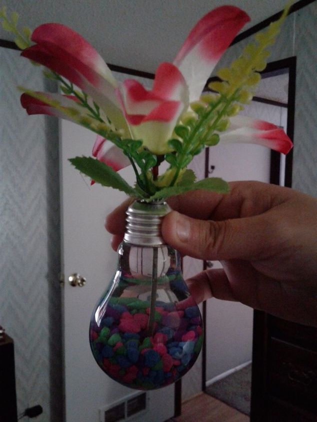 q light bulb flower, gardening