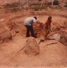 e throw back thursday diy inground pool dug by hand shovel 1970 s, pool designs, repurposing upcycling