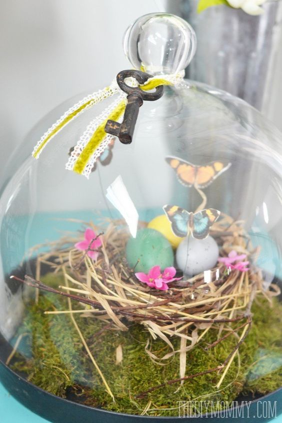 a spring bird s nest vintage butterflies, pets animals