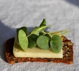 how to grow microgreens at home, home decor, how to