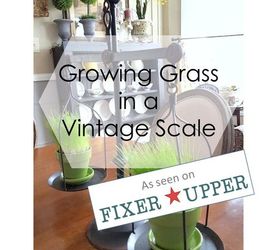 grow grass in a vintage looking scale, lawn care
