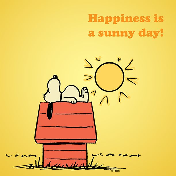 e what are you looking forward to diying as the weather gets warmer