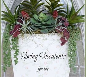 spring succulents for the front door, doors, flowers, gardening, succulents