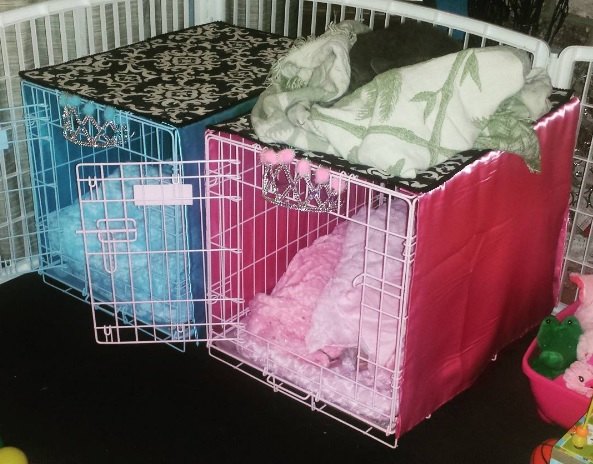 Easy Diy No Sew Pet Crate Cover Hometalk Easy Diy No Sew Pet Crate Cover