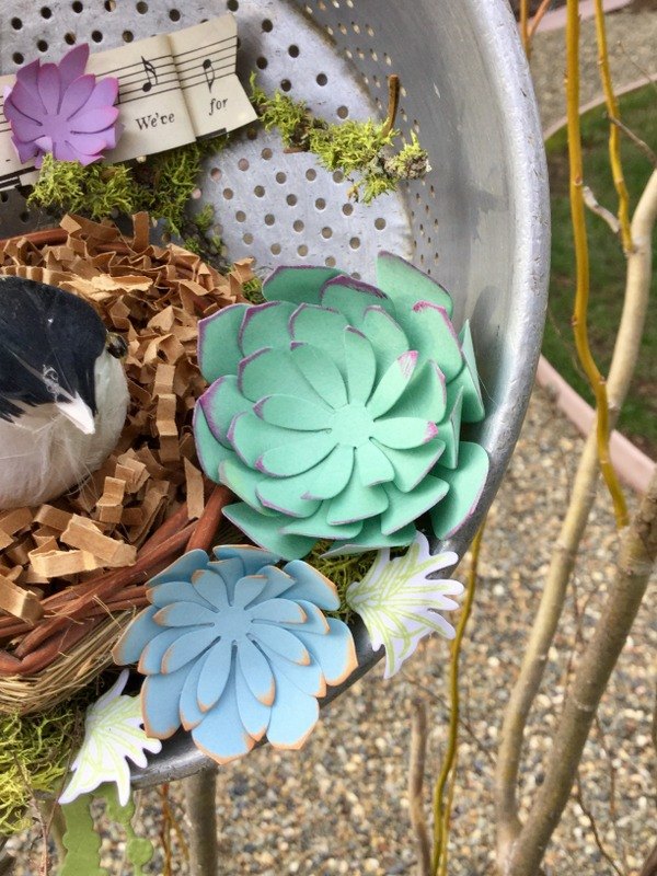 e crafternoons paper succulents in upcycled vintage metal straine, flowers, gardening, succulents