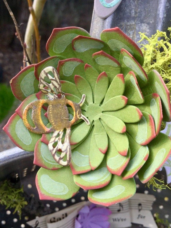 e crafternoons paper succulents in upcycled vintage metal straine, flowers, gardening, succulents