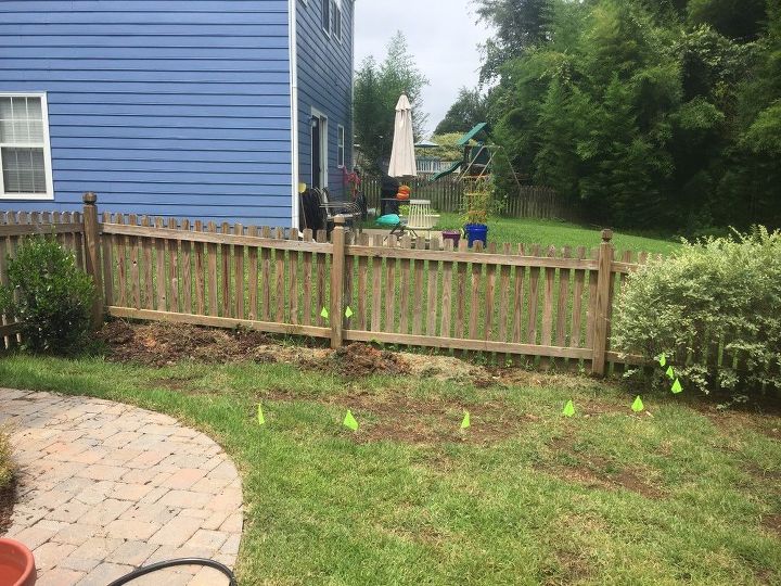 raised bed and trellis