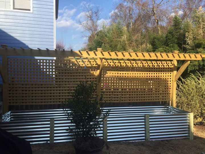 raised bed and trellis