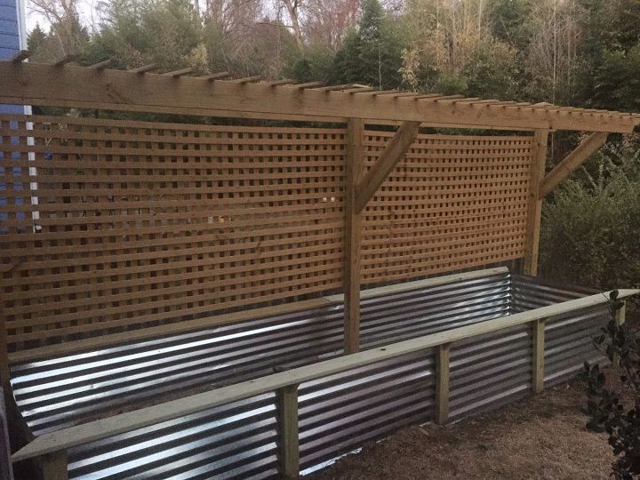 raised bed and trellis