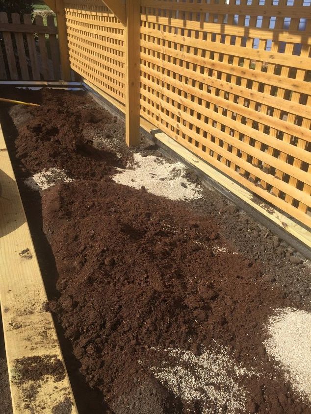 raised bed and trellis