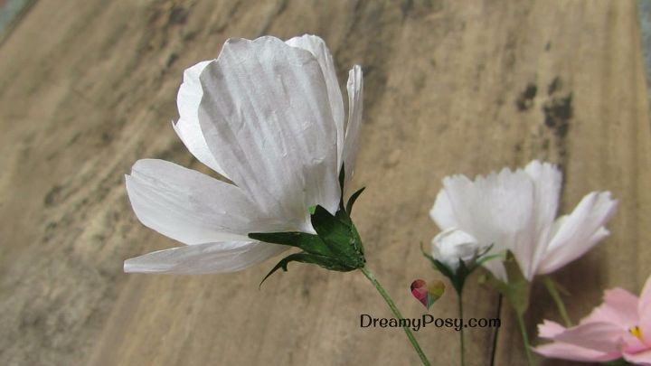 easy to diy paper cosmos flower, gardening