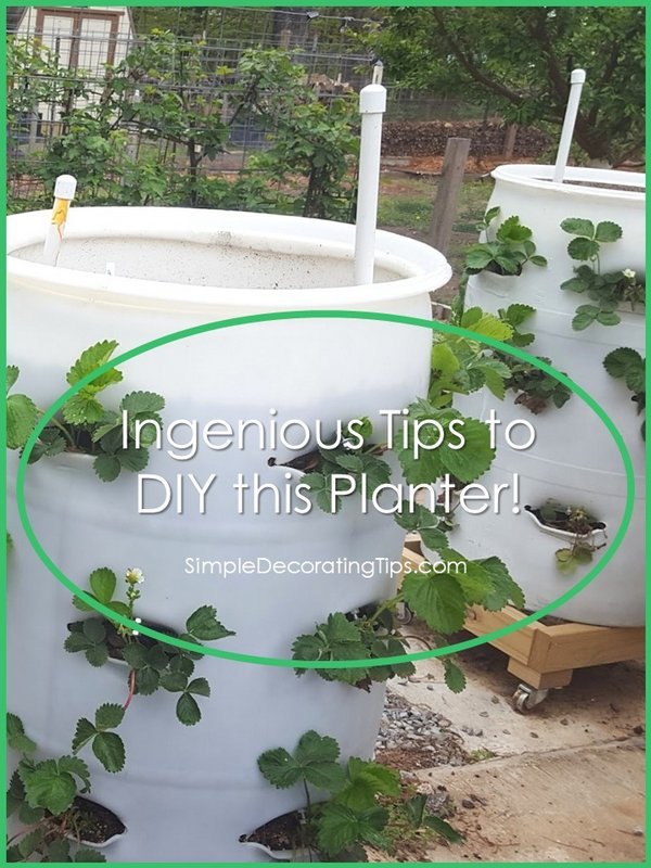 ingenious tips to diy this vegetable planter, gardening