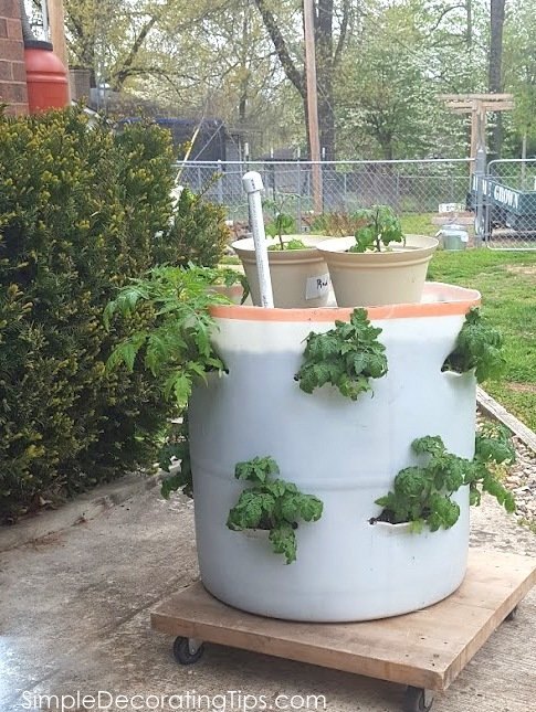 ingenious tips to diy this vegetable planter, gardening