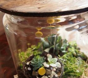 s 21 of the cutest terrariums we ve ever seen, gardening, terrarium, This one that sits in a big jar