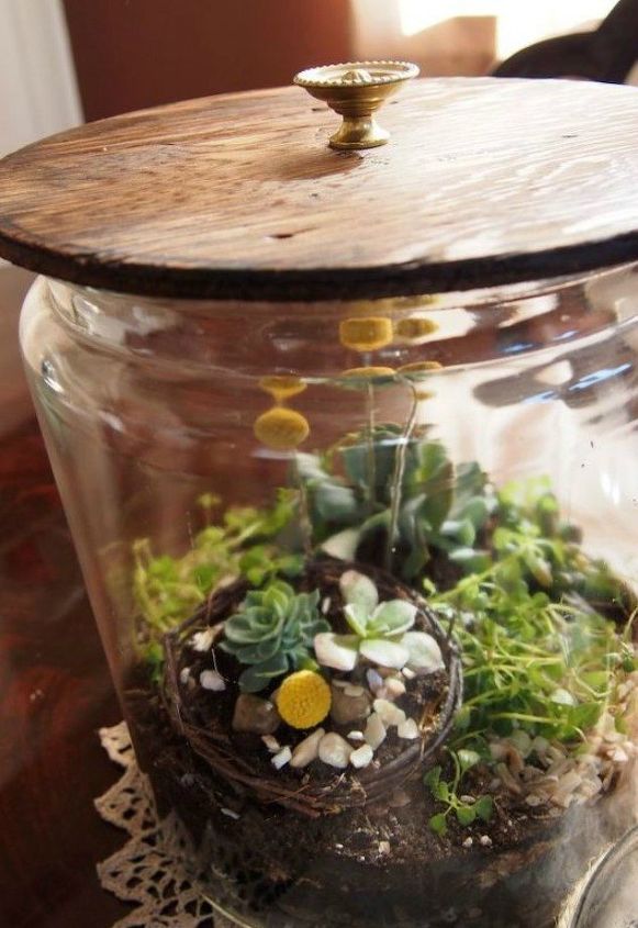 s 21 of the cutest terrariums we ve ever seen, gardening, terrarium, This one that sits in a big jar