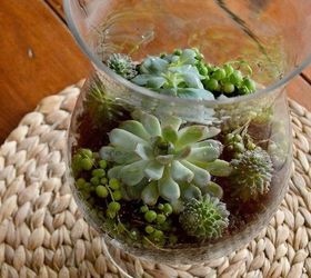 s 21 of the cutest terrariums we ve ever seen, gardening, terrarium, This pretty one made in a vase