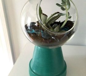 s 21 of the cutest terrariums we ve ever seen, gardening, terrarium, This one that looks like a gumball machine