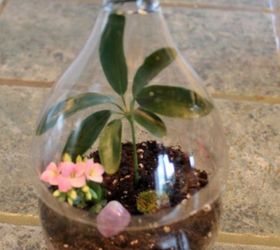 s 21 of the cutest terrariums we ve ever seen, gardening, terrarium, This easy one made from a coke bottle