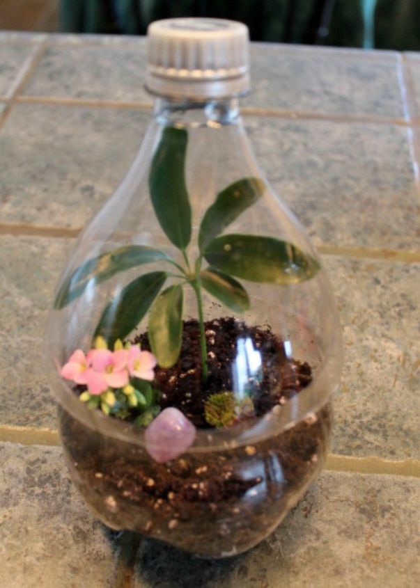 s 21 of the cutest terrariums we ve ever seen, gardening, terrarium, This easy one made from a coke bottle