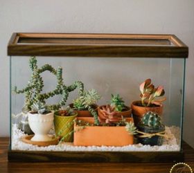 s 21 of the cutest terrariums we ve ever seen, gardening, terrarium, This aquarium turned terrarium one