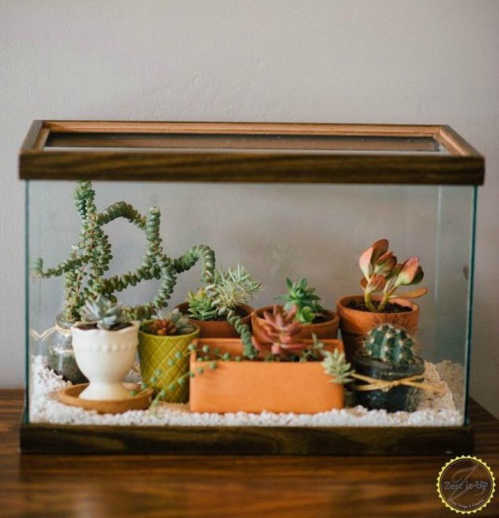 s 21 of the cutest terrariums we ve ever seen, gardening, terrarium, This aquarium turned terrarium one
