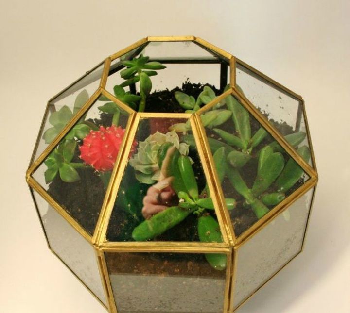 s 21 of the cutest terrariums we ve ever seen, gardening, terrarium, This one that used to be a pendant light