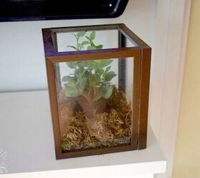 s 21 of the cutest terrariums we ve ever seen, gardening, terrarium, This square one made from picture frames