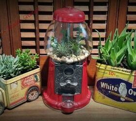 s 21 of the cutest terrariums we ve ever seen, gardening, terrarium, These cute ones made from vintage containers