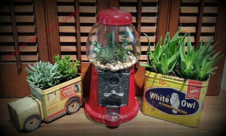 s 21 of the cutest terrariums we ve ever seen, gardening, terrarium, These cute ones made from vintage containers