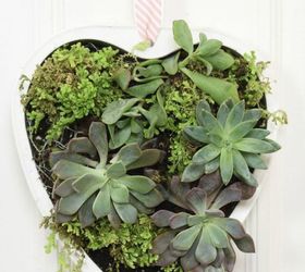 s 21 of the cutest terrariums we ve ever seen, gardening, terrarium, This heart one made from a pan