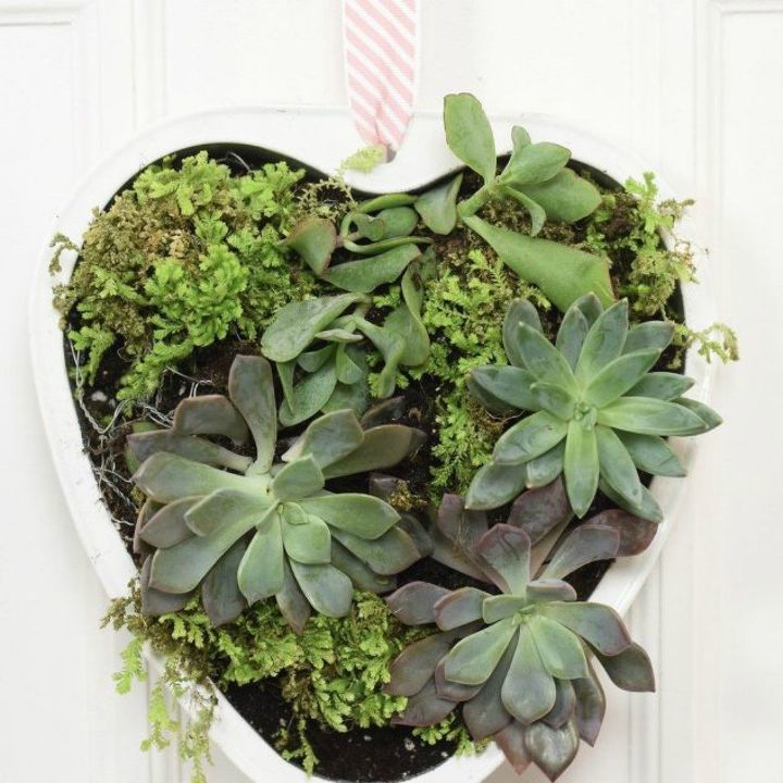 s 21 of the cutest terrariums we ve ever seen, gardening, terrarium, This heart one made from a pan