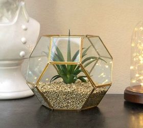 21 of the Cutest Terrariums We've Ever Seen | Hometalk