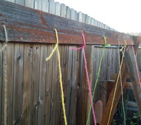 training tomato plants with rope, gardening