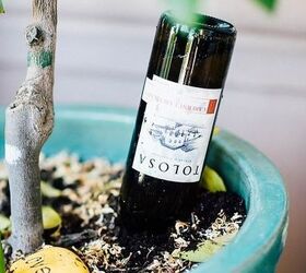 diy wine bottle waterer for potted plants, gardening