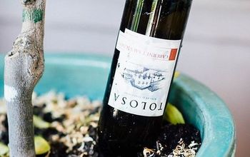 DIY Wine Bottle Waterer for Potted Plants