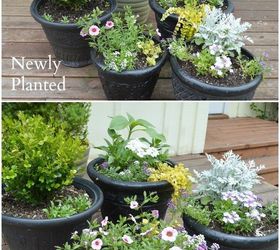 colorful flower planter ideas for sun, gardening