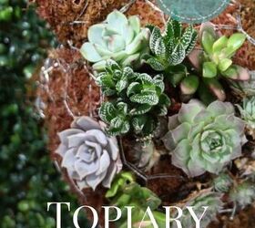 mini turtle topiary