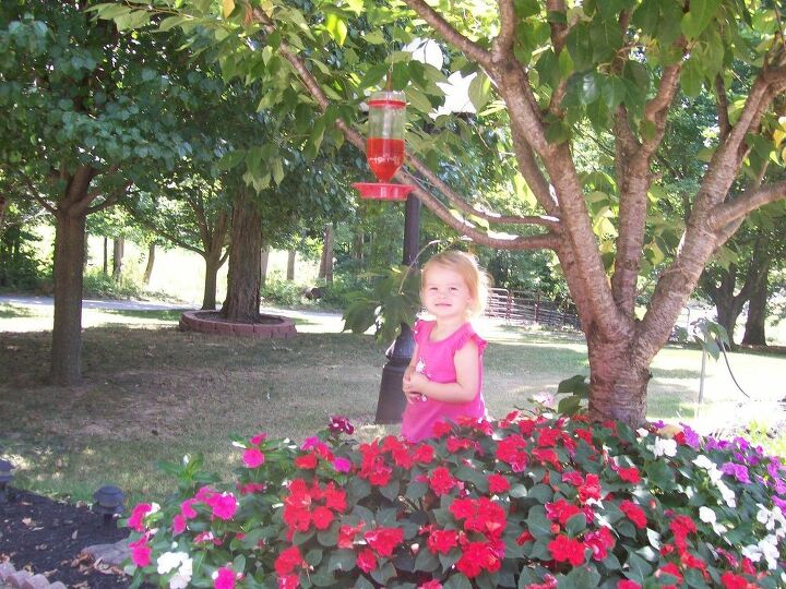 e beautiful summer flowers